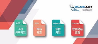 昆明軟件開發(fā)與App開發(fā) 專業(yè)技術(shù)驅(qū)動的創(chuàng)新之道